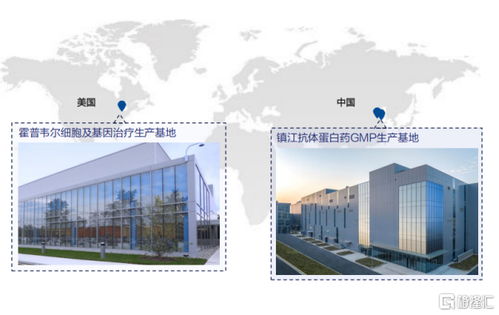 金斯瑞生物科技 營收大增81.9%，經調凈利增速超5倍，展現卓越盈利韌性